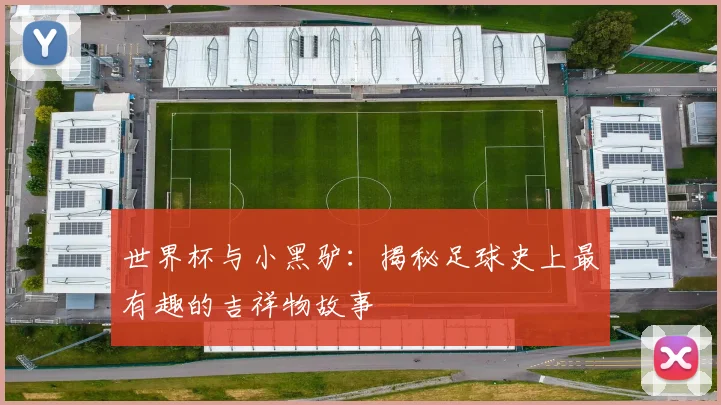 世界杯与小黑驴：揭秘足球史上最有趣的吉祥物故事