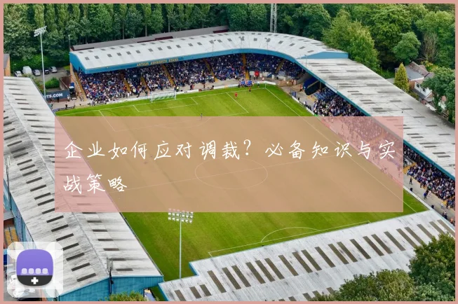 企业如何应对调裁?必备知识与实战策略